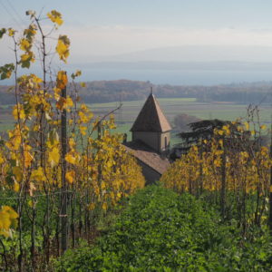 The Lake Geneva Coast