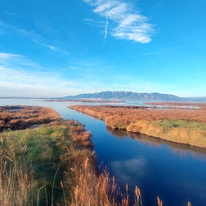 Getaway to the Ebro Delta