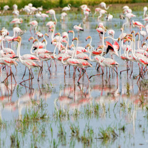 Secret Catalonia and the Ebro Delta: from the mountains to the sea