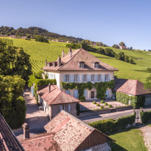 Apetizer board in the vineyards